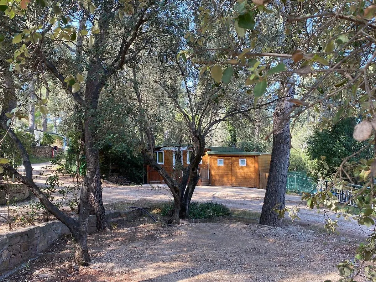 83A1 - Chalet Neuf En Bois Au Camping De La Lezardiere La Valette-du-Var Frankrijk